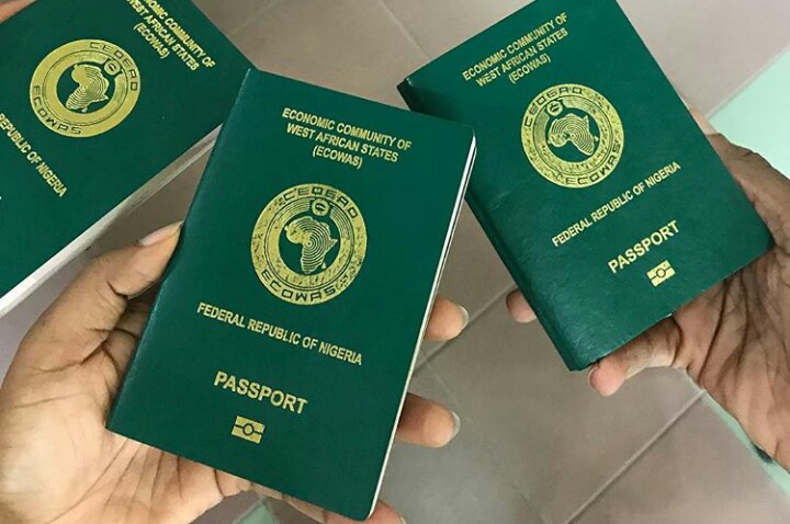 Read more about the article PASSPORT PALAVER: A Lengthy & Rigorous Affair
